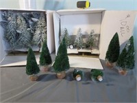 (2) Boxes of Small Trees - Different Sizes