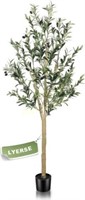 5ft(60) Olive Tree Artificial Indoor  Planter