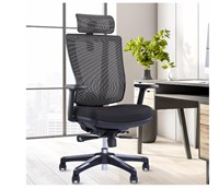 Odinlake Ergonomic Office Chair