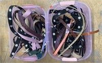 Variety of Girl’s Belts