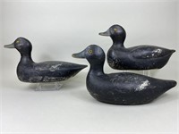 3 St. Lawrence River Bluebill Drake Duck Decoys