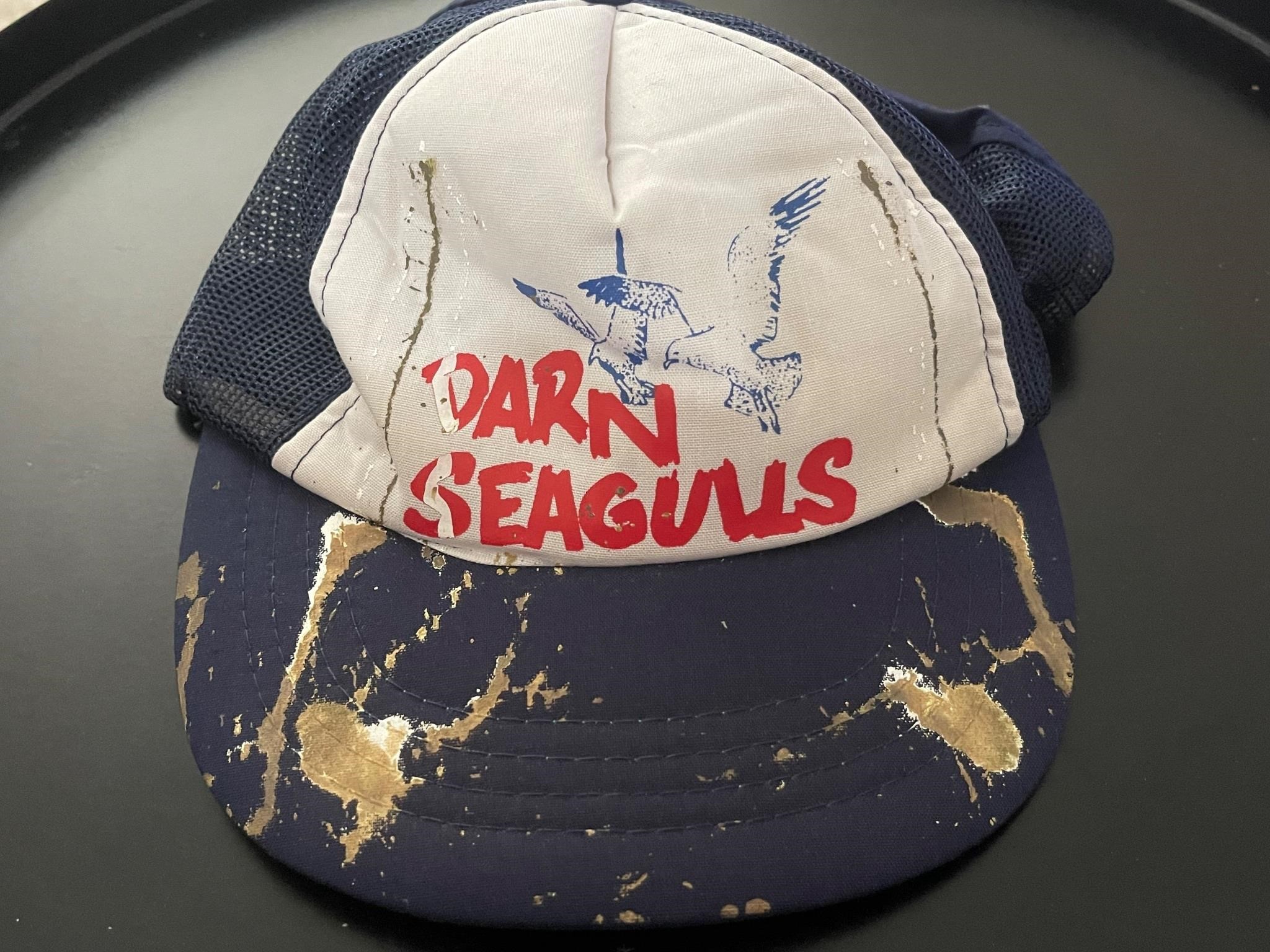 Vintage Darn Seagulls Novelty Hat