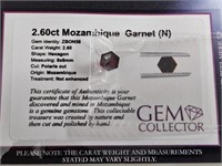 2.60ct Mozambique Garnet (N)