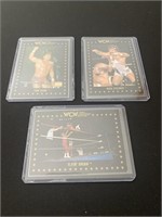 WCW wrestling cards 1990s. Rick Steiner, Flyin’
