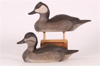 Pair of Hen and Drake Ruddy Duck Decoys by Marv