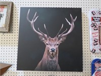 BIG BUCK ON CANVAS