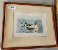 SIGNED ARTIST PROOF PINTAIL PRINT