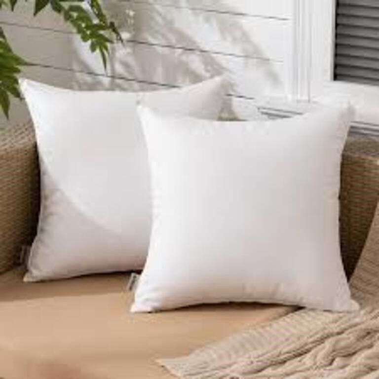 2 Pack Of Cushion Inserts 45x45cm