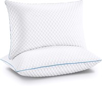 $60 Queen Memory Foam Pillows + 2 Covers