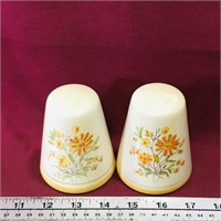 Handpainted Salt & Pepper Shakers (Vintage)