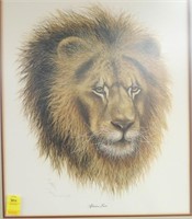 FRAMED PRINT AFRICAN LION BY FARNSWORTH