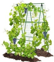 4 x 6' Garden Trellis for Cucumber Climbing Plants