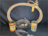 Western Decor Lasso, Spur, Buffalo & Bear Cans