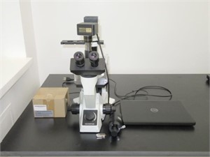 Olympus CK40-F100 Microscope