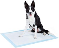 Dog and Puppy Pee, Potty Training Pads