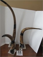 (3) Ram Horns - 16", 19", 26" Tall