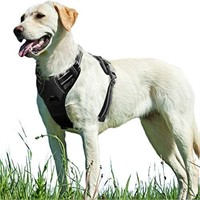 Eagloo Dog Harness No Pull, Walking Pet Harness