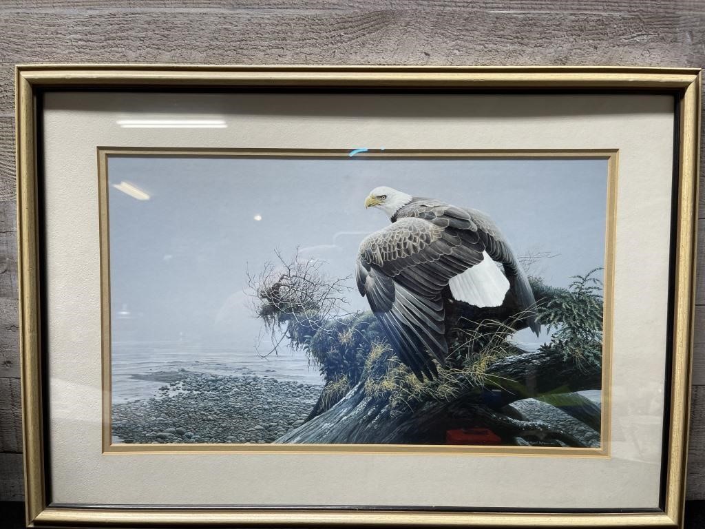 Robert Bateman Framed Print 23" Wide X 16" High In