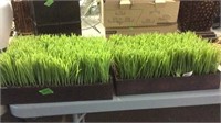 2 TRAYS OF ARTIFICIAL GRASS