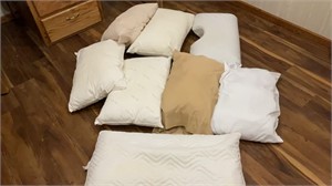 Assortment of pillows, slight stains on a few.