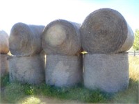 5 Alf-alfa brome hay bales, round hard core bales