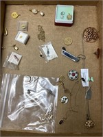 Assorted jewelry - charms, chains, and hat pins