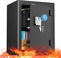 WASJOYE Fireproof Biometric Safe