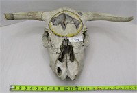 Bovine Painted Skull