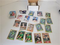 MLB baseball cards