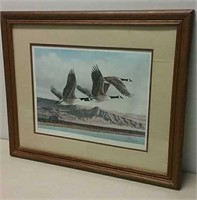Canada Geese Print By Kay Williams 22x18"