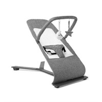 $79  Baby Delight Alpine Deluxe Portable Bouncer