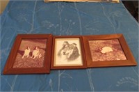 Framed Cat & Dog Pictures