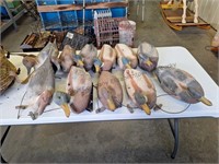 Bag of 11 duck decoys