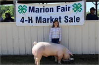 Market Swine- Kinley Eising