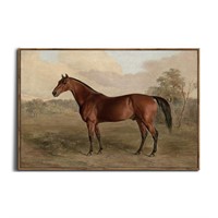 Framed Canvas Wall Art - 24x36 Horse