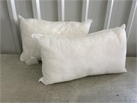 2 - 12"x20" Pillow Forms