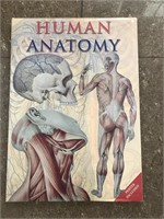 Large Human Anatomy Book