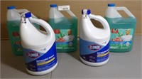 Clorox Bleach & Mr Clean Multi Surface Cleaner