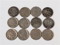 12- Buffalo Nickles