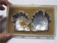Genuine Cultured Pearl w/Shell & Case