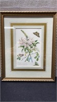 Gold Frame Horticultural Plant Picture 11" X 14"