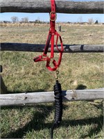 NEW RED NYLON HALTER, BLACK LEAD ROPE