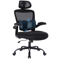 Ergonomic Mesh Office Chair with Lumbar Support- A