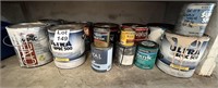 Paint and Stains Lot