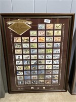 Framed Federal Duck Stamp Collection Poster