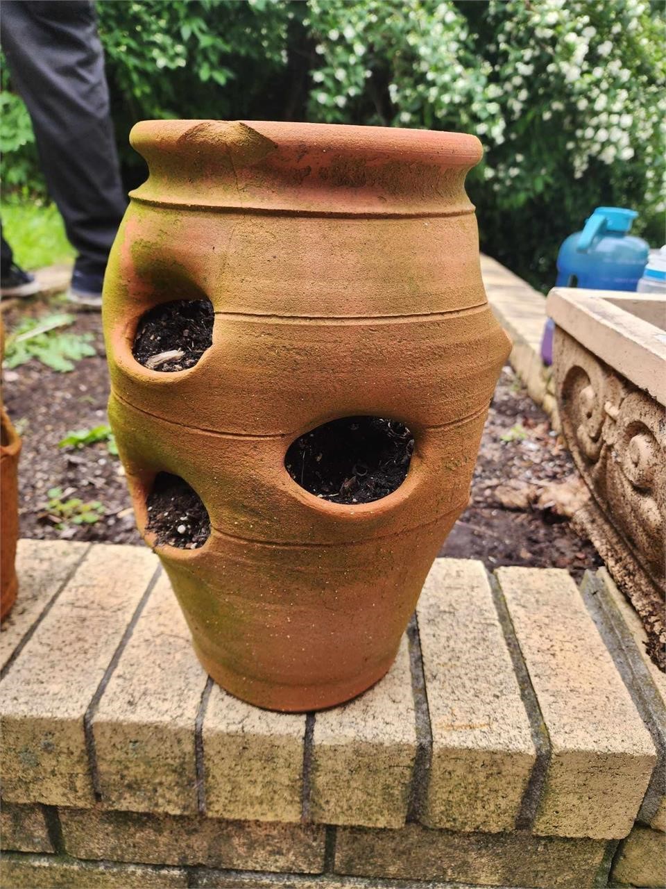 Clay like outdoor pottery planting pot succulants