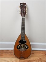 1900s Larson Made Ditson BowlBack Mandolin?