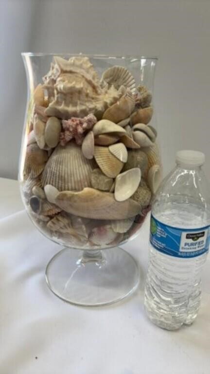 Large glass vase full of assorted sea shells,