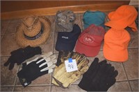 Caps, hats, gloves