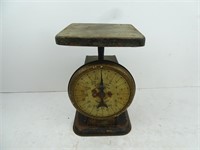 Antique Metal American Family Scale